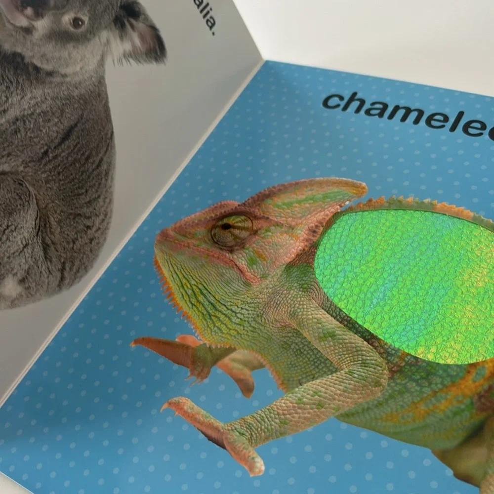 Series Books by Vision St. Publishing Adorable Animals  and Sea Animals